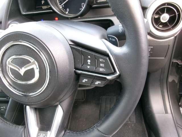 ＣＸ－３ １５Ｓアーバンドレッサー（13枚目）