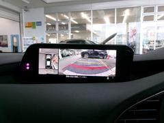 ���������˥�������������������Ǥʤ���������Ǥ��ޤ��Τǡ��¿�������֤����Ԥ��Ǥ��ޤ��� 3