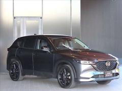 �ãءݣ� ���������أġ��֥�å��ȡ��󥨥ǥ�����󡡥ǥ������륿���� 0701738A20251223Z001 3