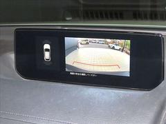 �Хå��������������ξ�����λ�Ѥ򥫥С����Ƥ��졢��ž�Υ��ݡ��Ȥ�Фä���Ǥ��� 3