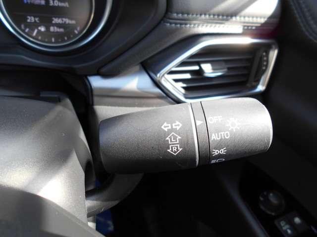 XDプロアクティブ 新車下取車 ワンオーナー 後席モニター(19枚目)