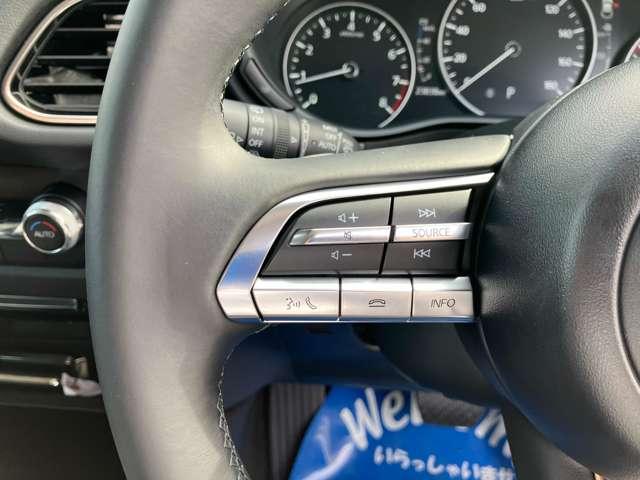 CX-30 2.0 20S ブラックトーンエディション 認定プレミアム ワンオーナー(12枚目)