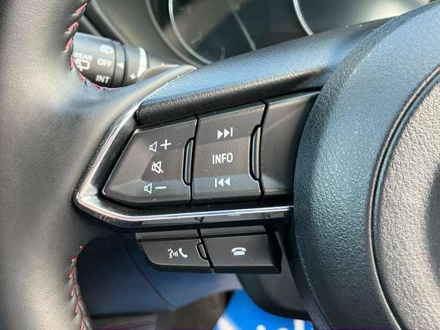 手元で操作が出来るオーディオスイッチやハンズフリースイッチを装備。