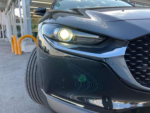 ＣＸ－３０ ２．０　２０Ｓ　ｉ　セレクション　３６０　°カメラ　レーダークルーズ（14枚目）