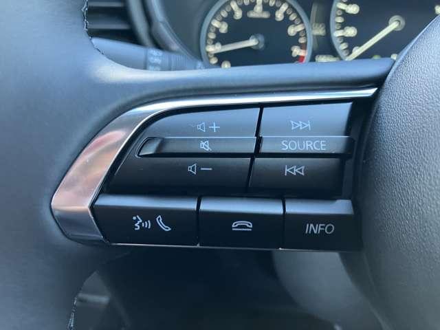 ＣＸ－３０ ２．０　２０Ｓ　ｉ　セレクション　３６０　°カメラ　レーダークルーズ（17枚目）