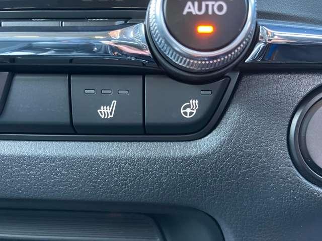 ＣＸ－３０ ２．０　２０Ｓ　ｉ　セレクション　３６０　°カメラ　レーダークルーズ（20枚目）