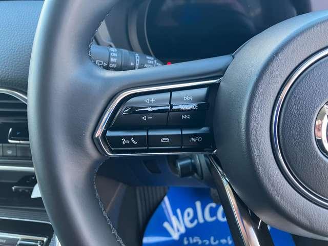 手元で操作が出来るオーディオスイッチやハンズフリースイッチを装備。