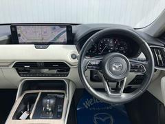 ɥ饤С濴״򺸱оΤ֤åԥåȡҥ塼ޥ󥤥󥿡եͥȤǡϫڸˤҤޤ 4