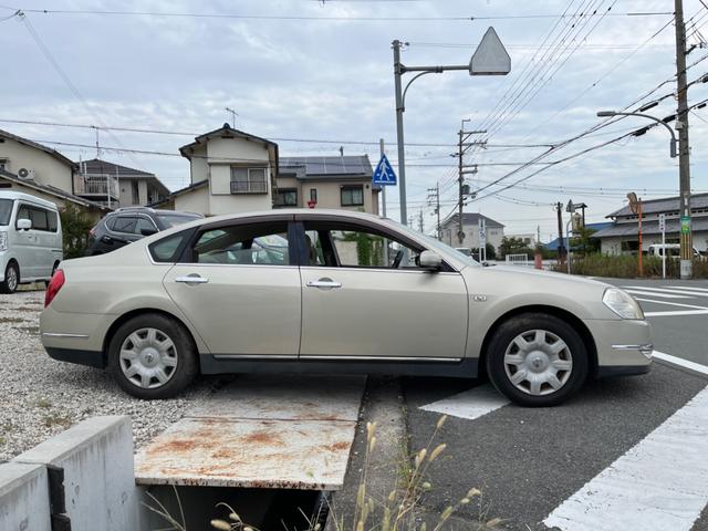 ティアナ ２３０ＪＫ（6枚目）