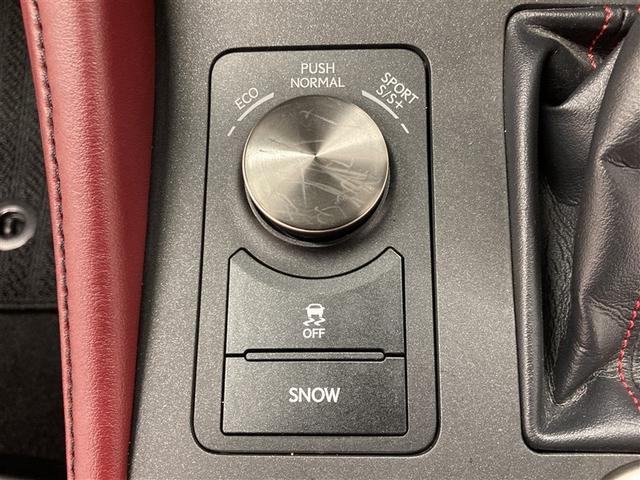 RC RC350 Fスポーツ 革シート フルセグ メモリーナビ DVD再生 ミュージックプレイヤー接続可 バックカメラ 衝突被害軽減システム ETC ドラレコ LEDヘッドランプ ワンオーナー フルエアロ(23枚目)