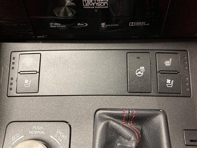 RC RC350 Fスポーツ 革シート フルセグ メモリーナビ DVD再生 ミュージックプレイヤー接続可 バックカメラ 衝突被害軽減システム ETC ドラレコ LEDヘッドランプ ワンオーナー フルエアロ(24枚目)