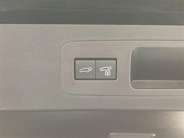 ランドクルーザー ＧＲスポーツ　革シート　サンルーフ　４ＷＤ　ＤＶＤ再生　ミュージックプレイヤー接続可　バックカメラ　衝突被害軽減システム　ＥＴＣ　ＬＥＤヘッドランプ　ワンオーナー　ディーゼル（11枚目）