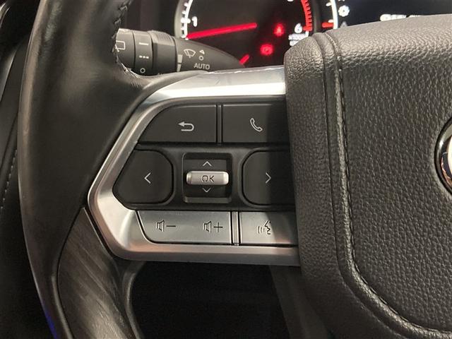 ランドクルーザー ＧＲスポーツ　革シート　サンルーフ　４ＷＤ　ＤＶＤ再生　ミュージックプレイヤー接続可　バックカメラ　衝突被害軽減システム　ＥＴＣ　ＬＥＤヘッドランプ　ワンオーナー　ディーゼル（20枚目）