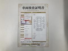 �ϥꥢ�� �ǡ��ߥ塼���å��ץ쥤�䡼��³�ġ��Хå�����顡�����ﳲ�ڸ������ƥࡡ�ţԣ� 0701768A20260117T002 3