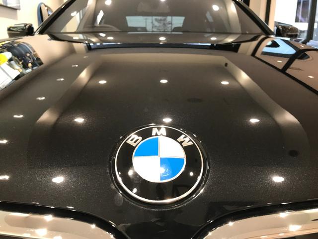 740i Mスポーツ ブラックレザーシート ワンオーナー ガラスサンルーフ BMWレーザーライト 全周囲カメラ ハーマンカードンスピーカー アクティブクルーズコントロール フルセグTV(74枚目)