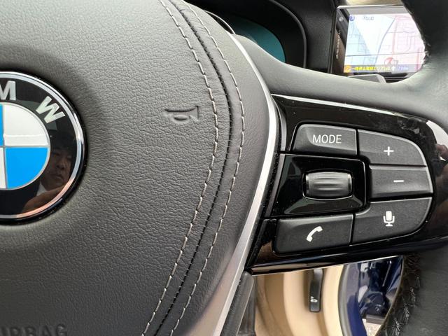 540i xDriveツーリング ラグジュアリー HDDナビゲーション キャンベラベージュレザシート 純正19インチアロイホイール ガラスサンルーフ バックカメラ ミラー型ETC 地デジTV コンフォートパッケージ 電動パワーシート(22枚目)