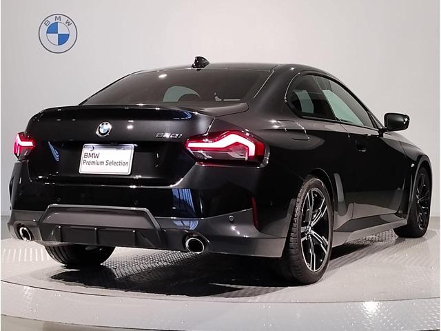 220iクーペ Mスポーツ ワンオーナーコンフォートPKG全方位モニター純正18インチアルミホイールMハイライターズイルミネーション純正HDDナビゲーションETCセンサテックコンビLEDヘッドライトアクティブクルーズコントロール(67枚目)