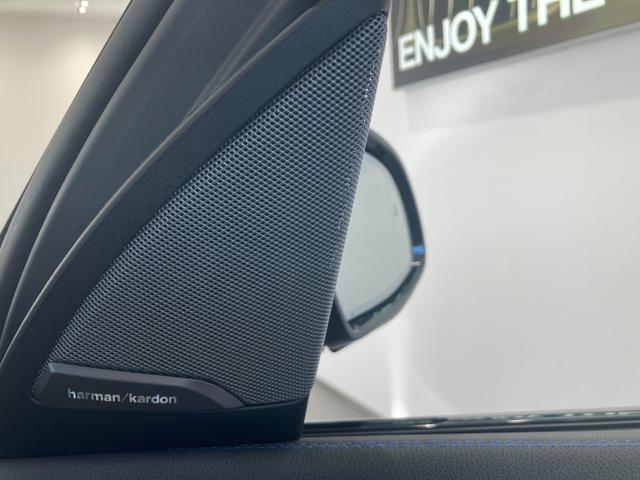 Ｍスポーツ　ＡＣＣ　ＢＭＷレーザーライト　ブラックレザー　ｈａｒｍａｎ／ｋａｒｄｏｎ　パーキング・アシスト・プラス　ＨＤＤナビ　純正２０ＡＷ　電動シート　電動リアゲート　電動サンルーフ　全周囲カメラ　ＥＴＣ(23枚目)