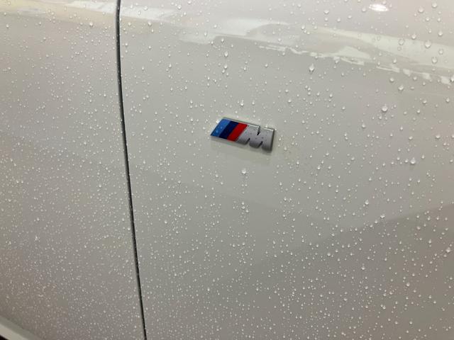 Ｘ３ ２０ｄ　ｘＤｒｉｖｅ　Ｍスポーツ　デモレンタ　ドライビングアシストプロフェッショナル　ＡＣＣ　パーキングアシストプラス　ｈａｒｍａｎ／ｋａｒｄｏｎ　純正２０ＡＷ　地デジ　アダプティブＬＥＤヘッドライト　ヘッドアップディスプレイ（73枚目）