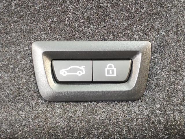 3シリーズ 320i Mスポーツ HDDナビゲーション LEDヘッドライト 電動トランク オートワイパー オートワイパー 全周囲カメラ パドルシフト ブラックレザーシート コンフォートアクセス デビューパッケージ ミラーETC(46枚目)