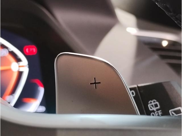 Ｘ５ ｘＤｒｉｖｅ　４０ｄ　Ｍスポーツ　パノラマガラスＳＲ　タルトゥーフォレザー　アクティブクルーズコントロール　ヘッドアップディスプレイ　地デジ　ハーマンカードン　純正２０ＡＷ　Ｆベンチレーション　パノラマガラスサンルーフ　シートヒーター（28枚目）