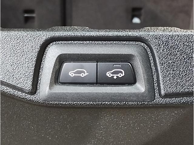 Ｘ５ ｘＤｒｉｖｅ　４０ｄ　Ｍスポーツ　パノラマガラスＳＲ　タルトゥーフォレザー　アクティブクルーズコントロール　ヘッドアップディスプレイ　地デジ　ハーマンカードン　純正２０ＡＷ　Ｆベンチレーション　パノラマガラスサンルーフ　シートヒーター（45枚目）