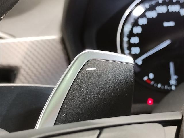 X2 M35i 2年保証 マグマレッドレザー パノラマガラスサンルーフ アクティブクルーズコントロール ヘッドアップディスプレイ 20インチアルミホイール パドルシフト セレクトパッケージ シートヒーター ETC(28枚目)
