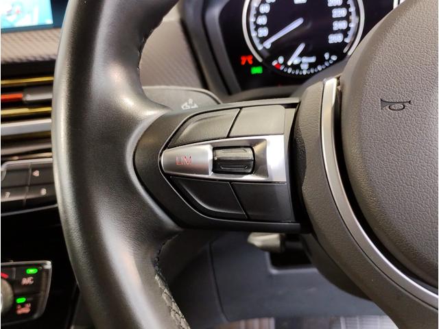 X2 xDrive 18d MスポーツX ハイラインパック オプション20AW ブラックレザー シートヒーター 電動リヤゲート HDDナビ CD/DVD再生 リヤビューカメラ アンビエントライト ACC ドライビングアシスト LEDヘッドライト(30枚目)