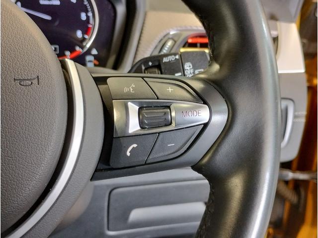 X2 xDrive 18d MスポーツX ハイラインパック オプション20AW ブラックレザー シートヒーター 電動リヤゲート HDDナビ CD/DVD再生 リヤビューカメラ アンビエントライト ACC ドライビングアシスト LEDヘッドライト(31枚目)