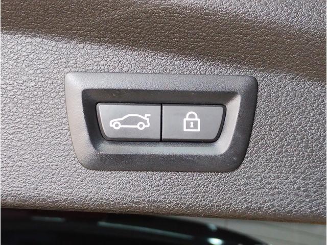 X2 xDrive 18d MスポーツX ハイラインパック オプション20AW ブラックレザー シートヒーター 電動リヤゲート HDDナビ CD/DVD再生 リヤビューカメラ アンビエントライト ACC ドライビングアシスト LEDヘッドライト(46枚目)