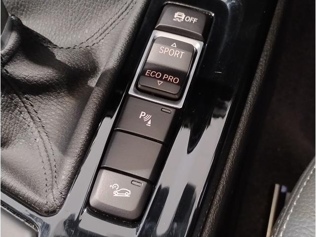 X2 xDrive 18d MスポーツX ハイラインパック オプション20AW ブラックレザー シートヒーター 電動リヤゲート HDDナビ CD/DVD再生 リヤビューカメラ アンビエントライト ACC ドライビングアシスト LEDヘッドライト(58枚目)