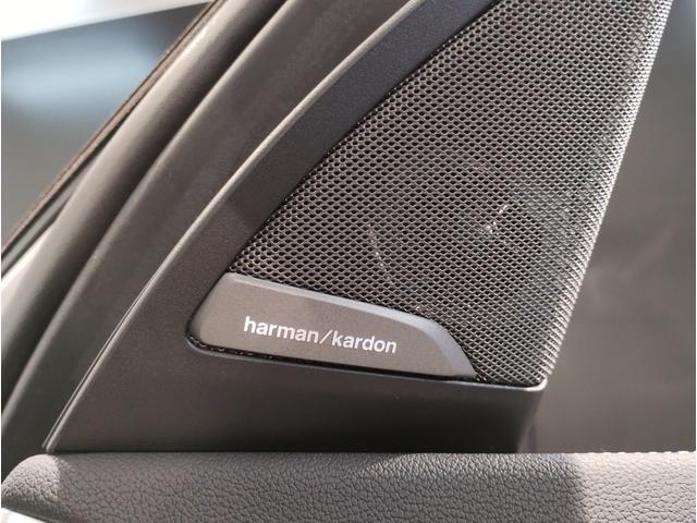 X3 xDrive 20d Mスポーツ 自社下取り車 ワンオーナー モカ革 ハーマンカードン パノラマSR リアシートアジャストメント 19AW ステアリングヒーター シートヒーター ベンチレーション ACC セレクトPKG パドルシフト(22枚目)