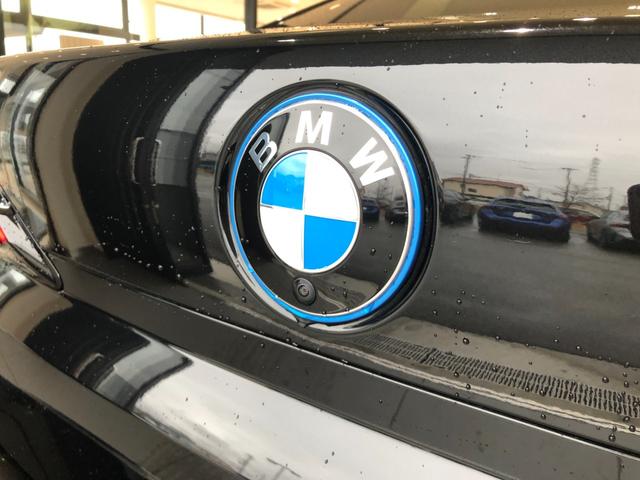 �y�o�b�N�J�����z�V�t�g���o�b�N�ɓ����ƁA���j�^�[���o�͂���܂��B�X�e�A�����O�ɘA�����郌�[���K�C�h�̕\��������܂��̂ŁA���Ԃ����ȕ��������S���������B