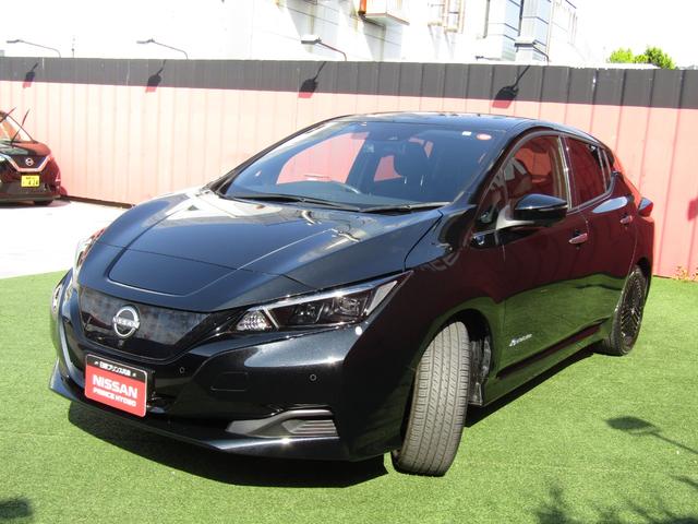 リーフ Ｘ　Ｖセレクション　プロパイロット・メーカーナビ・フルセグ・アラウンドビュー・ＬＥＤライト・ステアリング＆シートヒーター・社外前後ドラレコ・ＥＴＣ・スマートルームミラー・側後方支援・ｅ－ｐｅｄａｌ・ＵＳＢ・純正１７インチ（30枚目）