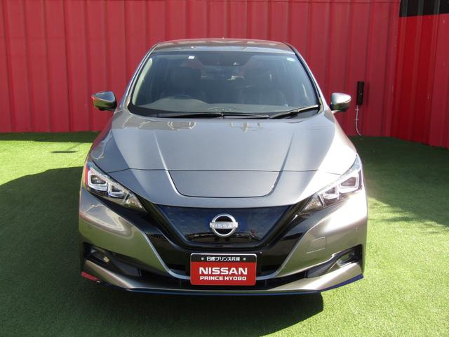 リーフ e+ G プロパイロット・メーカーナビ・フルセグ・アラウンドビュー・レザーシート・BOSE・シートヒーター・LEDライト・前後ドラレコ・エマブレ・スマートルームミラー・セキュリティセーフティPKG・ETC(31枚目)