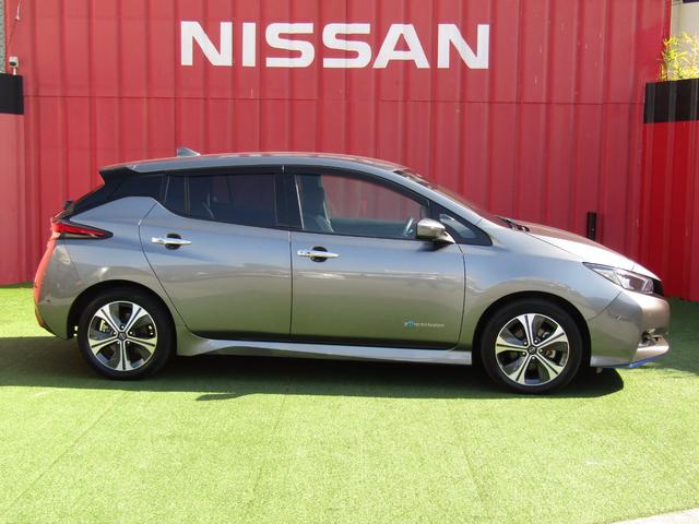 リーフ e+ G プロパイロット・メーカーナビ・フルセグ・アラウンドビュー・レザーシート・BOSE・シートヒーター・LEDライト・前後ドラレコ・エマブレ・スマートルームミラー・セキュリティセーフティPKG・ETC(33枚目)