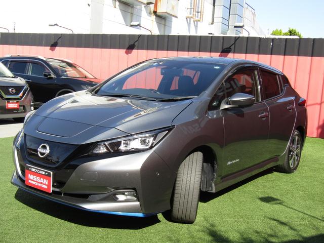 リーフ e+ G プロパイロット・メーカーナビ・フルセグ・アラウンドビュー・レザーシート・BOSE・シートヒーター・LEDライト・前後ドラレコ・エマブレ・スマートルームミラー・セキュリティセーフティPKG・ETC(35枚目)