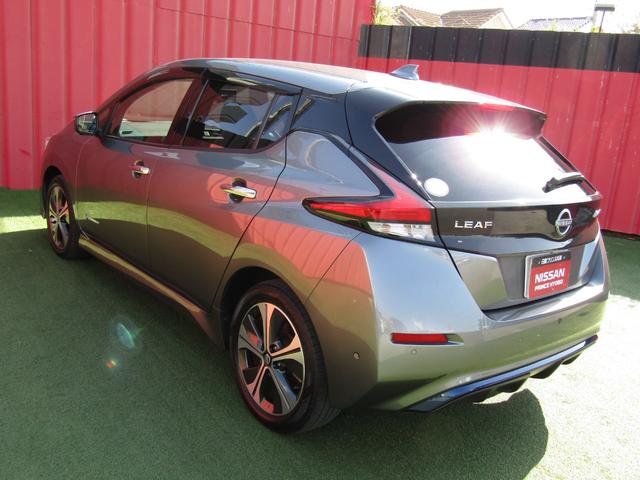 リーフ e+ G プロパイロット・メーカーナビ・フルセグ・アラウンドビュー・レザーシート・BOSE・シートヒーター・LEDライト・前後ドラレコ・エマブレ・スマートルームミラー・セキュリティセーフティPKG・ETC(36枚目)