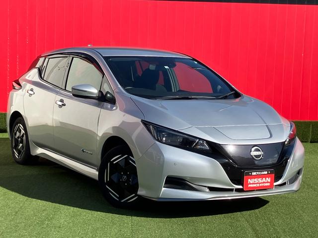 リーフ ｅ＋　Ｘ　メエモリーナビ・地デジ・バックモニター・エマージェンシーブレーキ・踏み間違え・車線逸脱警報・オートライト・クルーズコントロール・１６インチアルミ（2枚目）