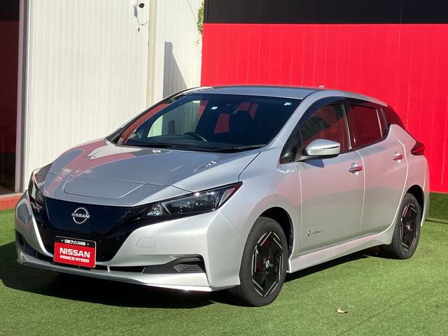 リーフ ｅ＋　Ｘ　メエモリーナビ・地デジ・バックモニター・エマージェンシーブレーキ・踏み間違え・車線逸脱警報・オートライト・クルーズコントロール・１６インチアルミ（6枚目）