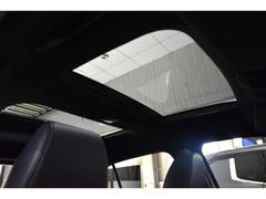 ĥ󥵥롼դǳˤդ줿ɥ饤֤ 6