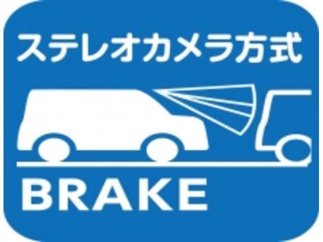 ハスラー ＨＹＢＲＩＤ　Ｘ　２型（71枚目）