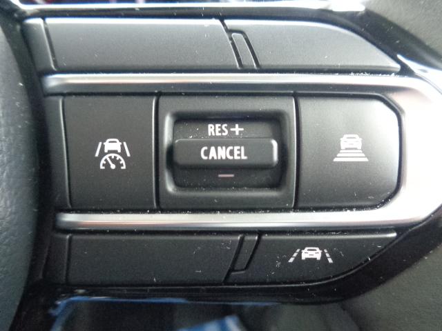 スペーシアカスタム カスタム HYBRID XS(24枚目)