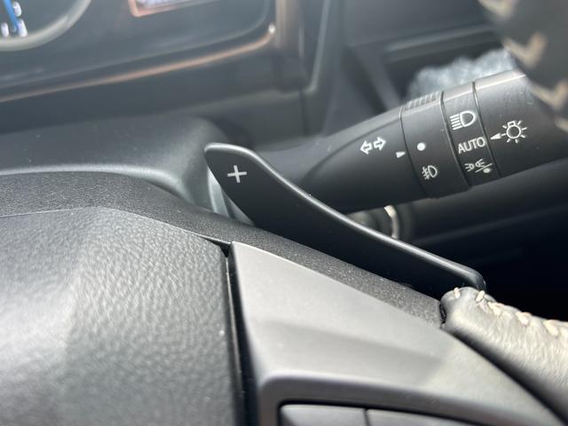 クロスビー ＨＹＢＲＩＤ　ＭＺ　４型（33枚目）