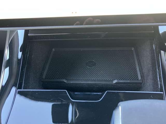 レンジローバースポーツ オートバイオグラフィー　Ｄ３００（29枚目）