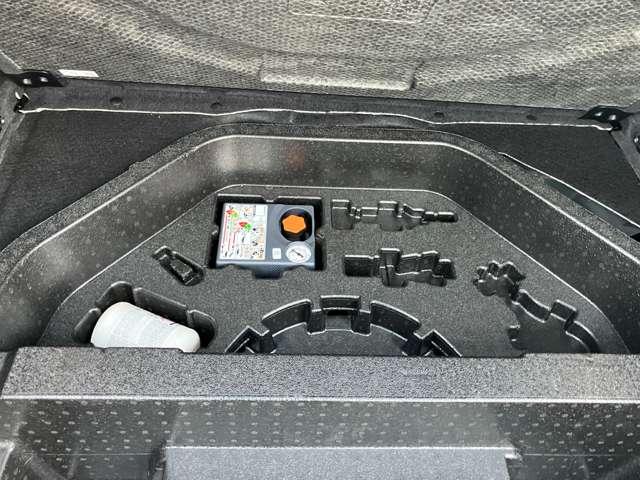 レンジローバースポーツ オートバイオグラフィー　Ｄ３００（62枚目）