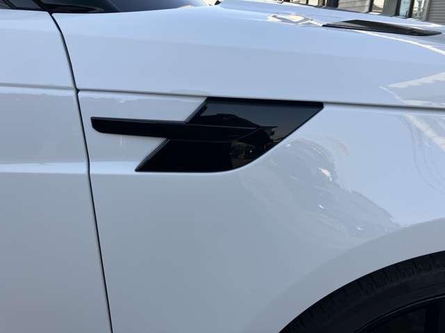 レンジローバースポーツ オートバイオグラフィー　Ｄ３００（70枚目）