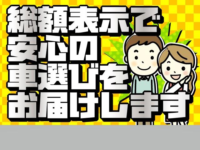 アドバンス　フルセグメモリーナビ＋バックモニター(6枚目)