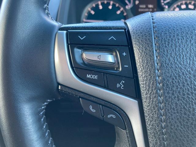 ランドクルーザープラド ＴＸ　Ｌパッケージ　マットブラックエディション　フルセグＴＣナビ＋バックモニター（36枚目）