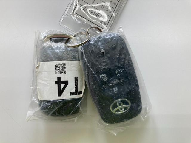 ルーミー カスタムＧ－Ｔ　フルセグメモリーナビ＋バックモニター＋両側電動スライドドア（33枚目）